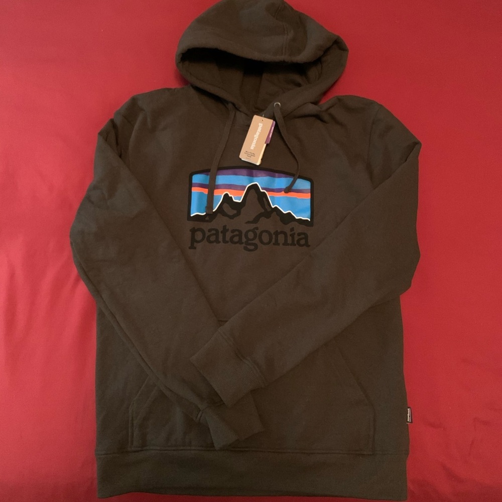 Patagonia hoodie